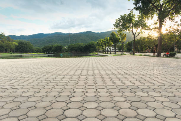 Best Local Driveway Pavers  in White Cloud, MI
